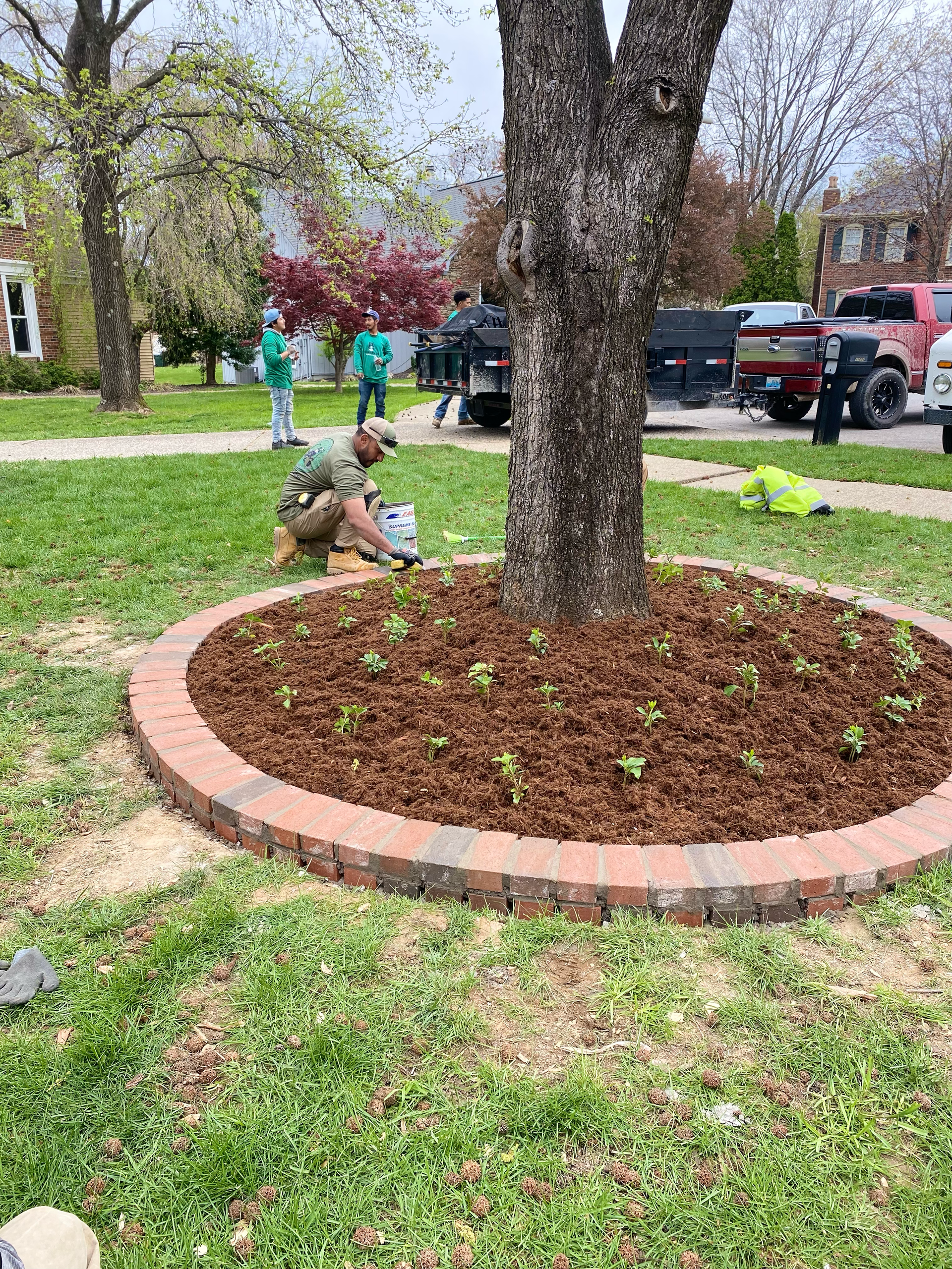 Mulch and Bed Redefinition: The Fastest Curb Appeal Upgrade
