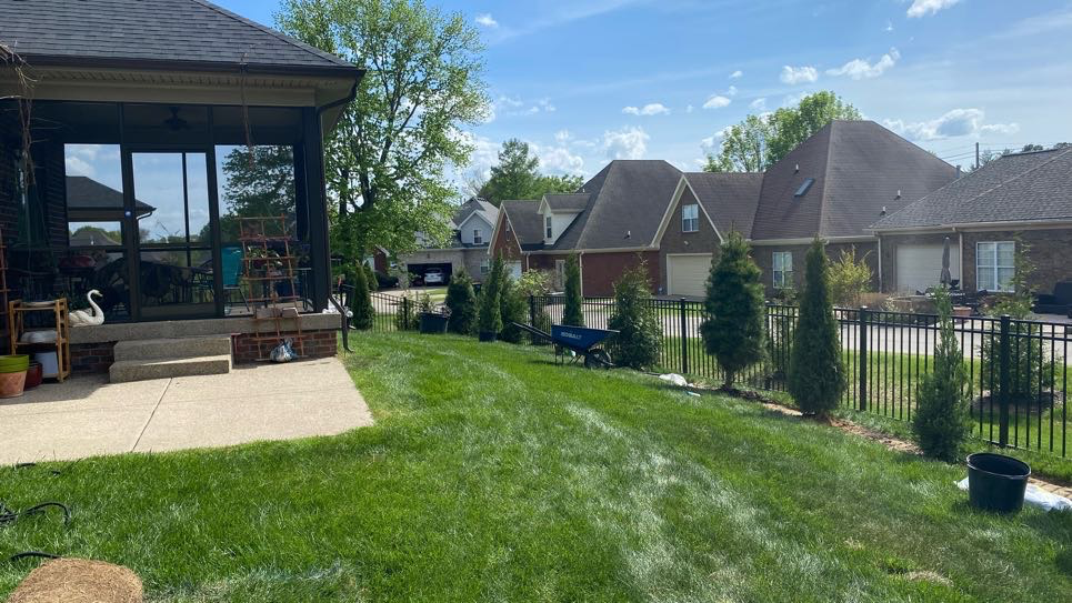 Evergreen Privacy Landscape with HOA Coordination in Louisville, KY