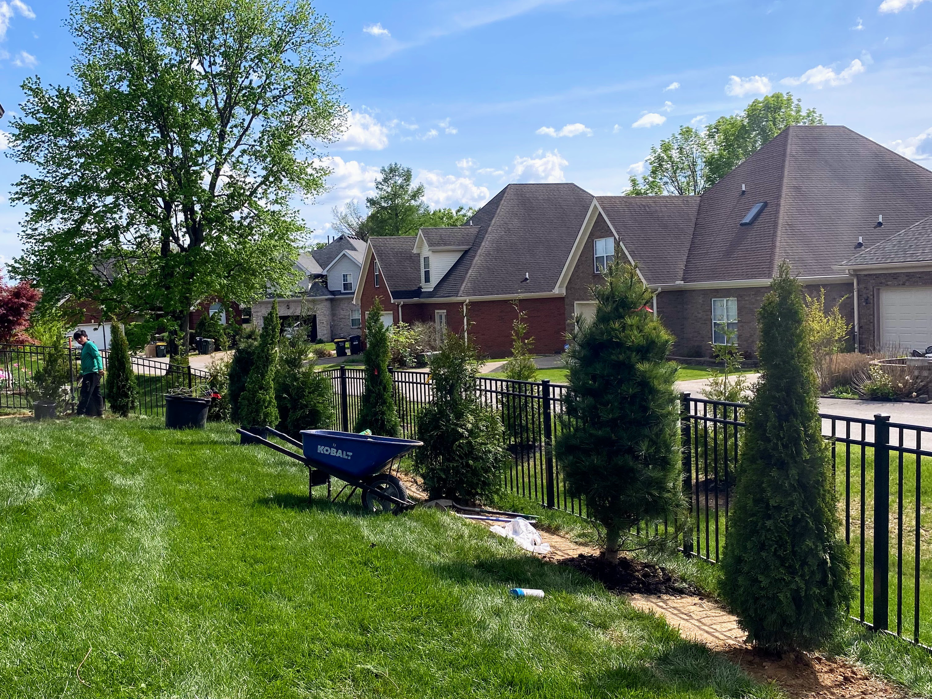 Spring yard cleanup services