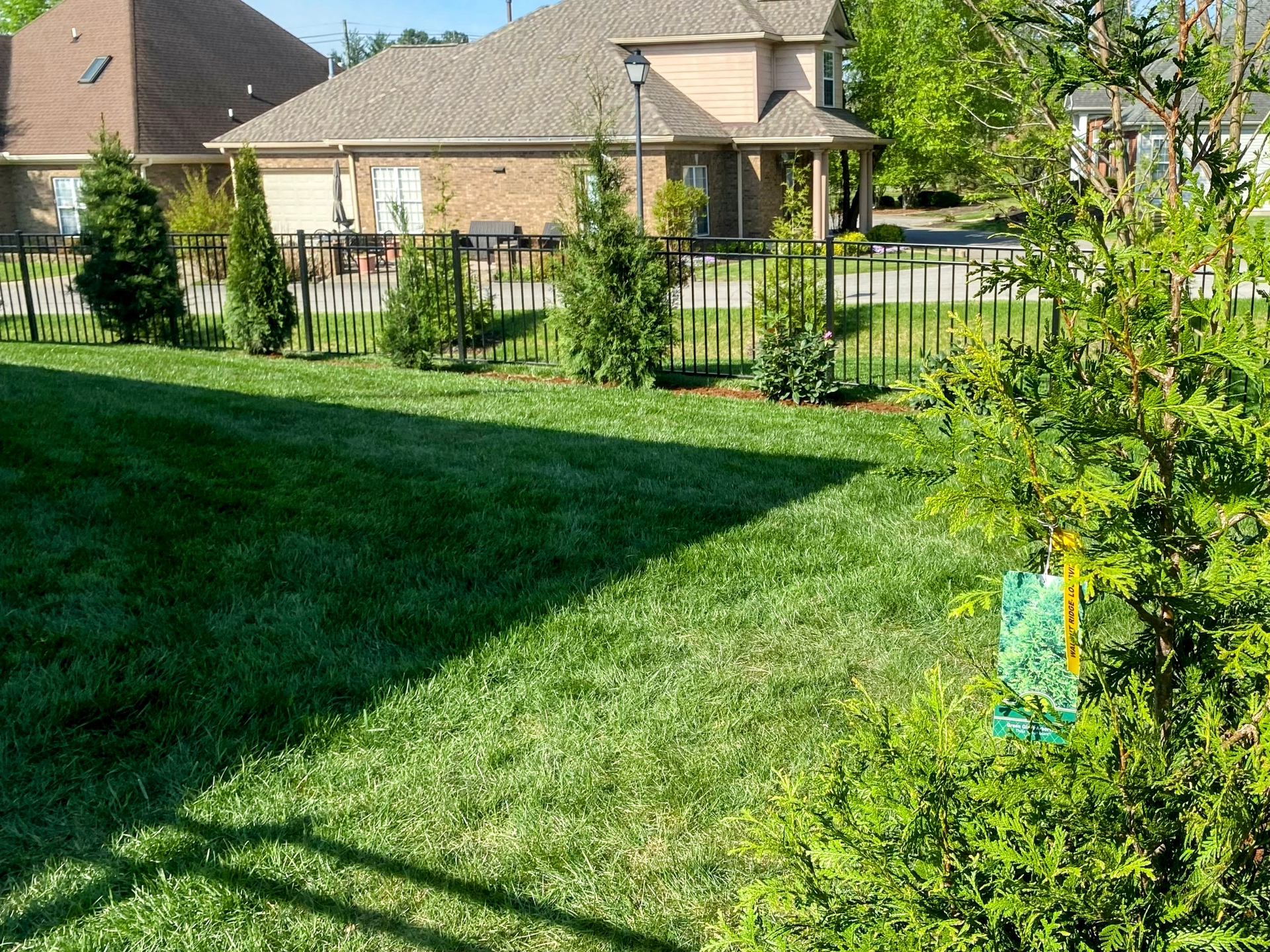Case Study: Evergreen Privacy Landscape with HOA Coordination in Louisville, KY