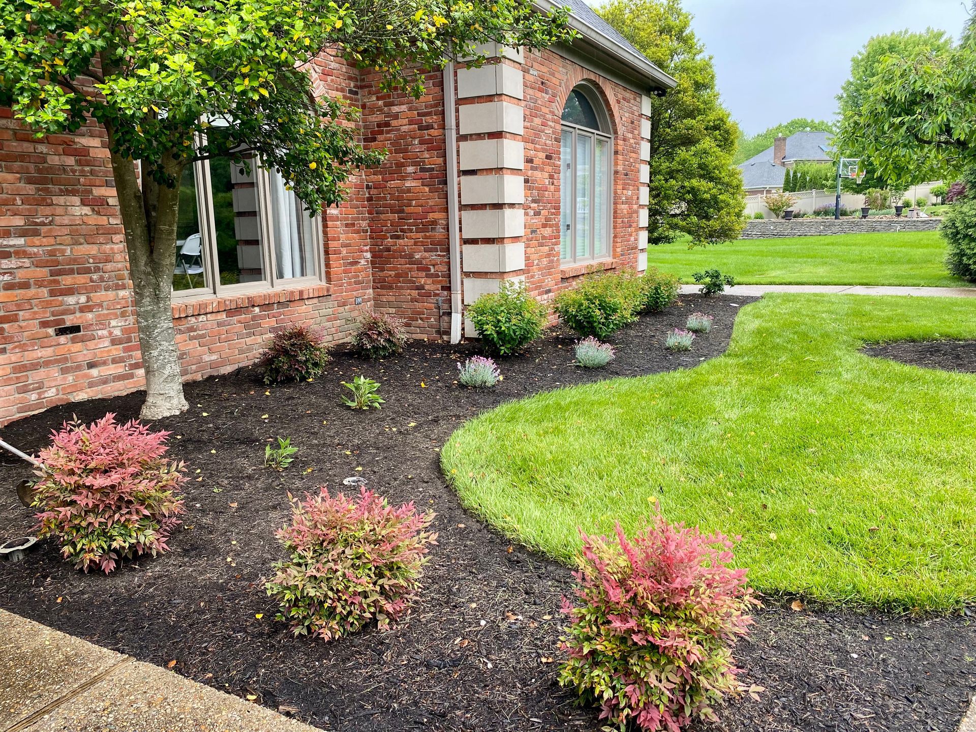 Brick house with manicured lawn and mulched garden beds with shrubs and a tree