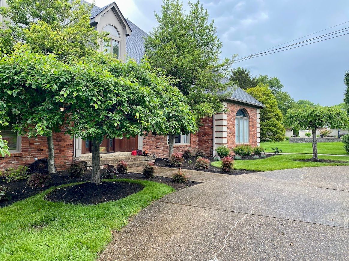 Top Spring Curb Appeal Upgrades That Make the Biggest Difference Fast