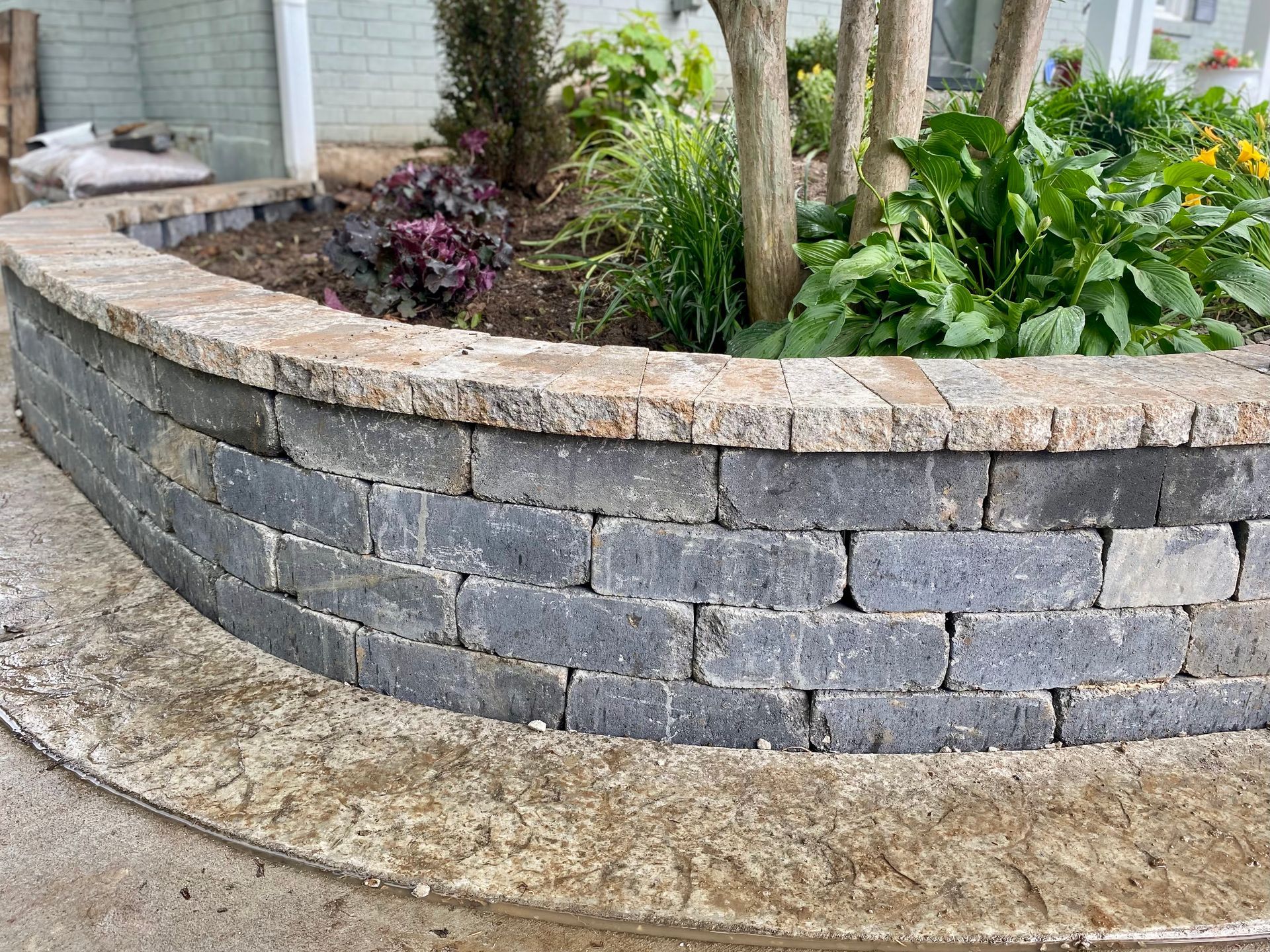 Curved, dark gray brick planter with a tan stone cap, filled with plants and a tree.