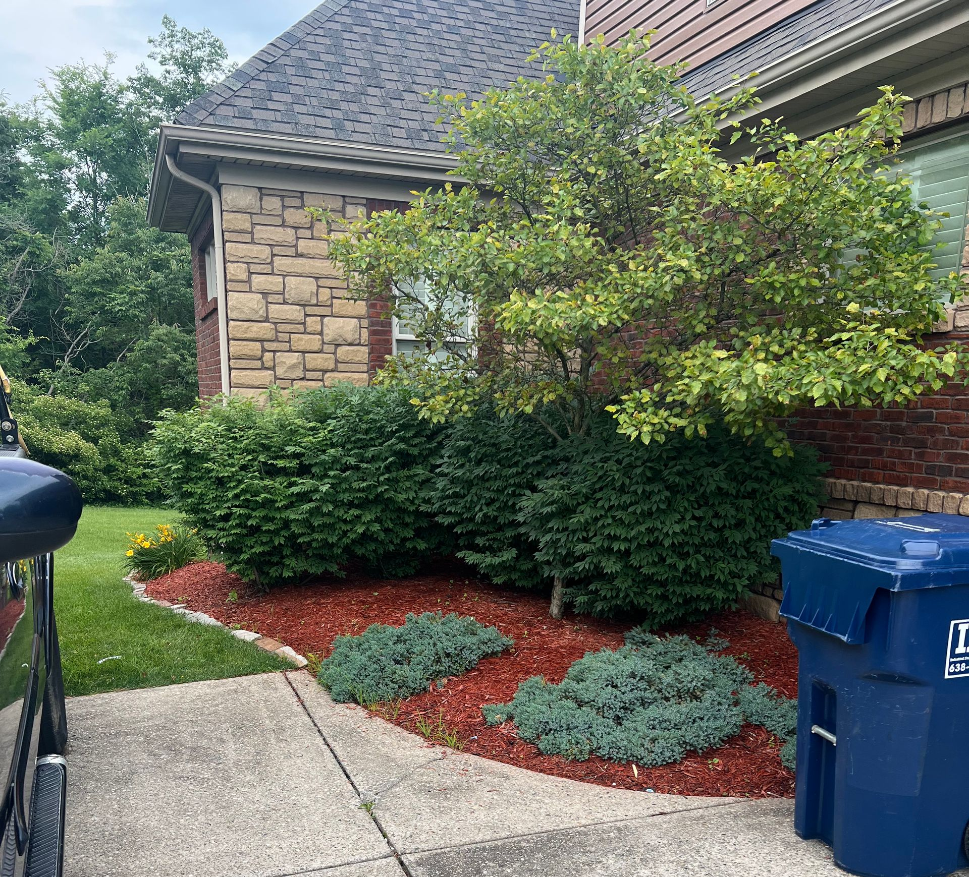 Landscape installation Louisville
