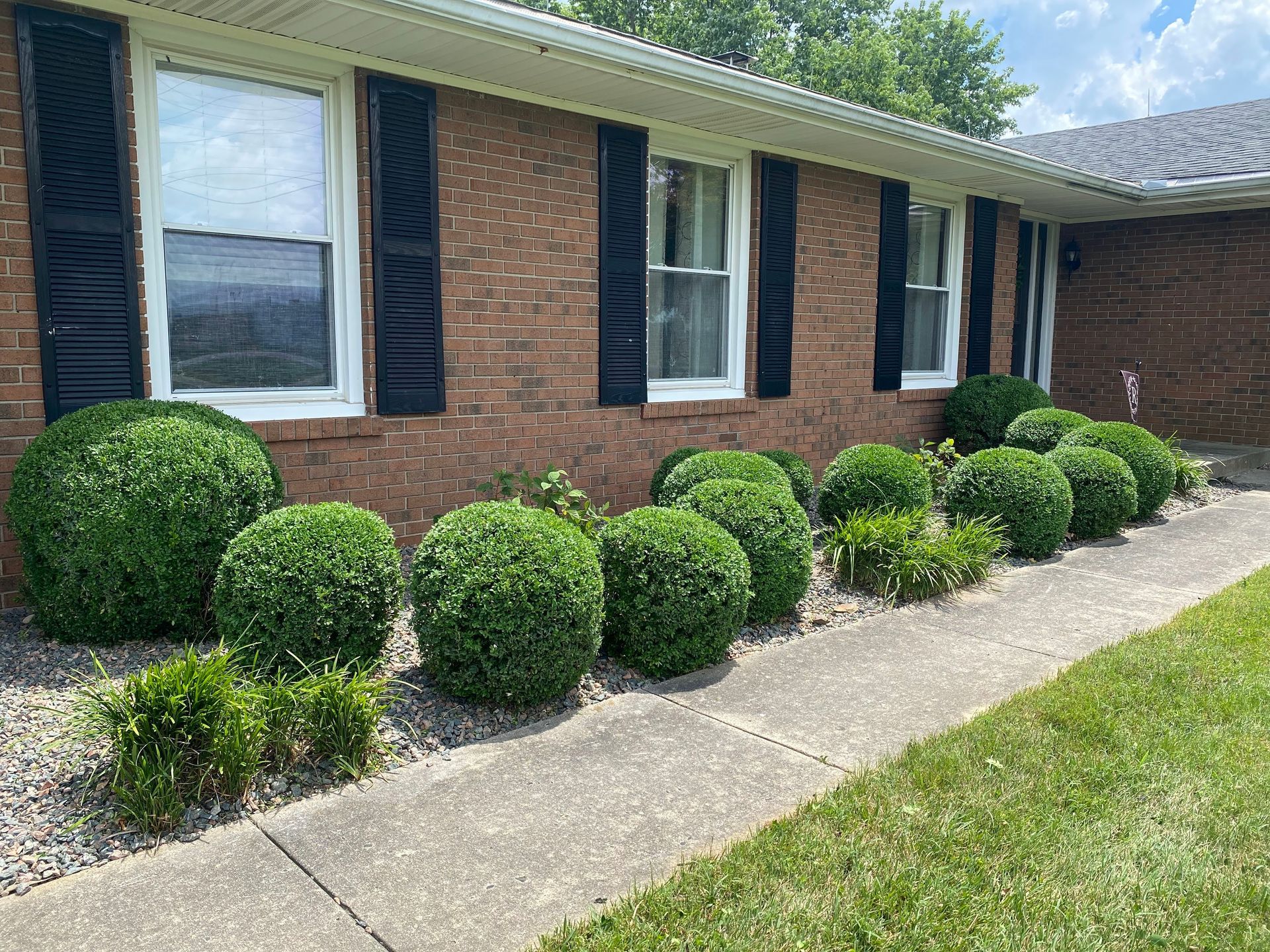 Low-Maintenance Summer Landscaping Ideas for Busy Homeowners