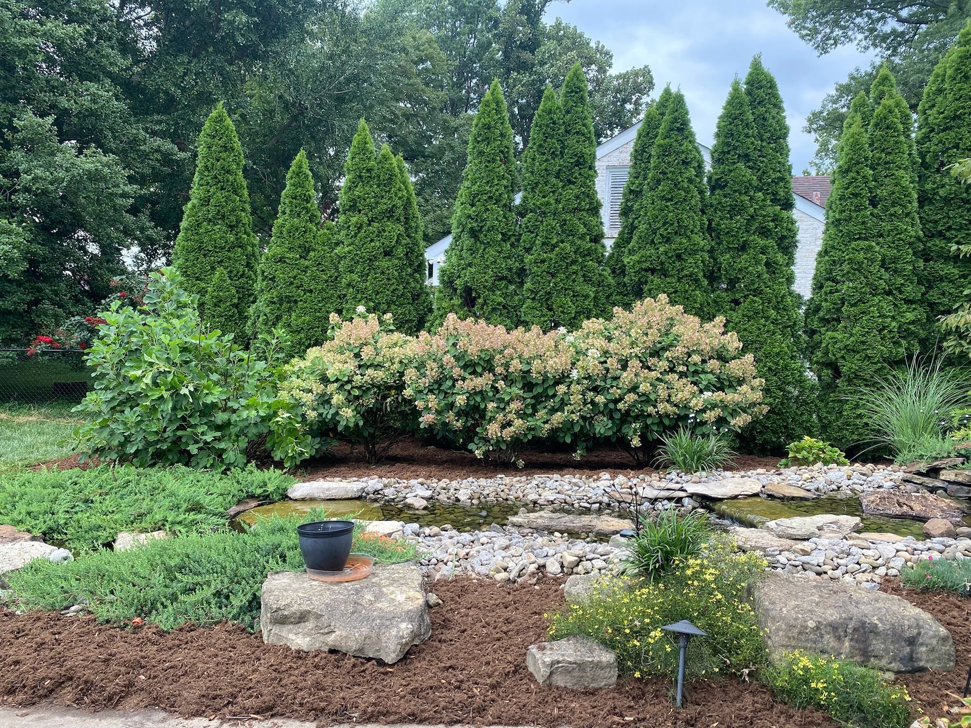 Top Trees and Shrubs to Plant in Fall for Strong Spring Roots