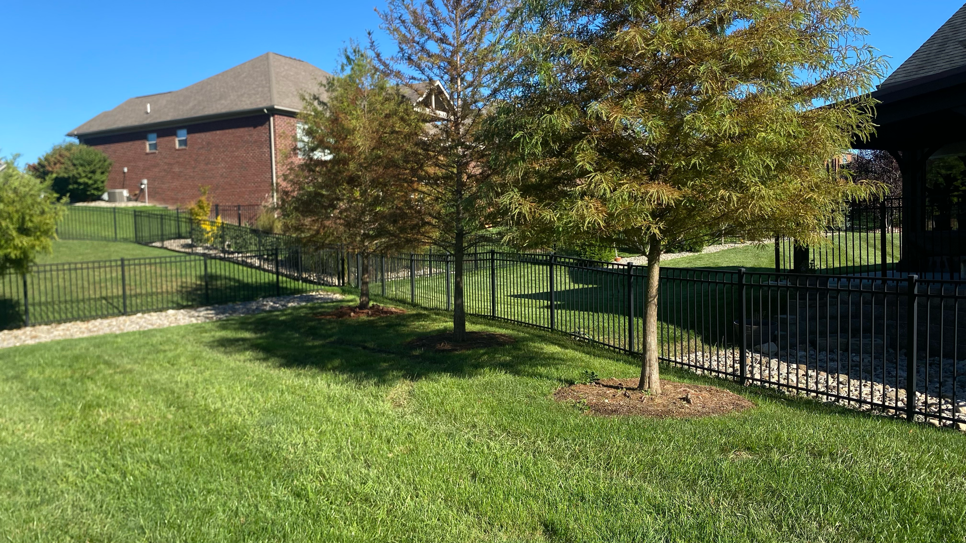 Yard cleanup services