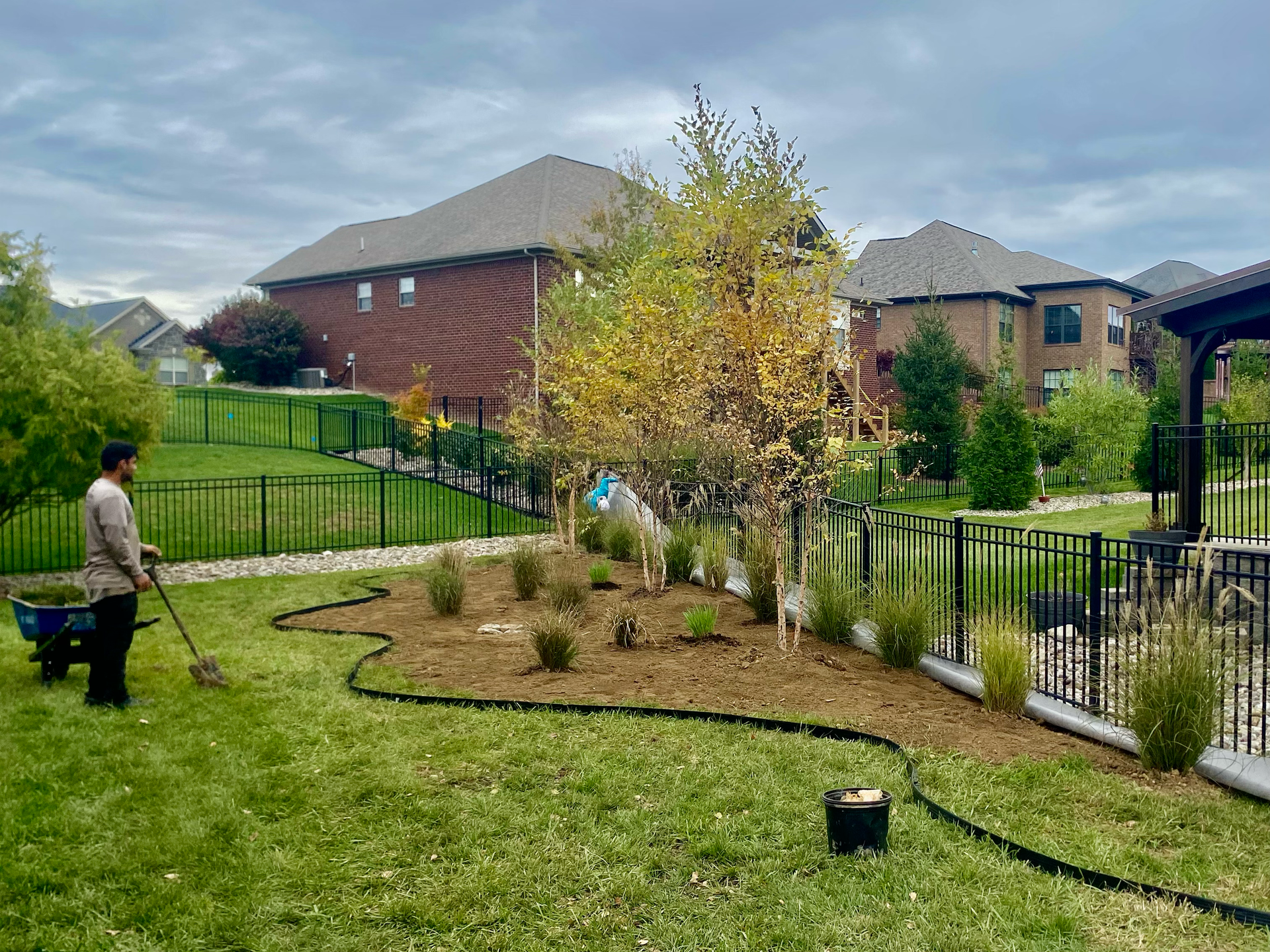 Pruning services Louisville