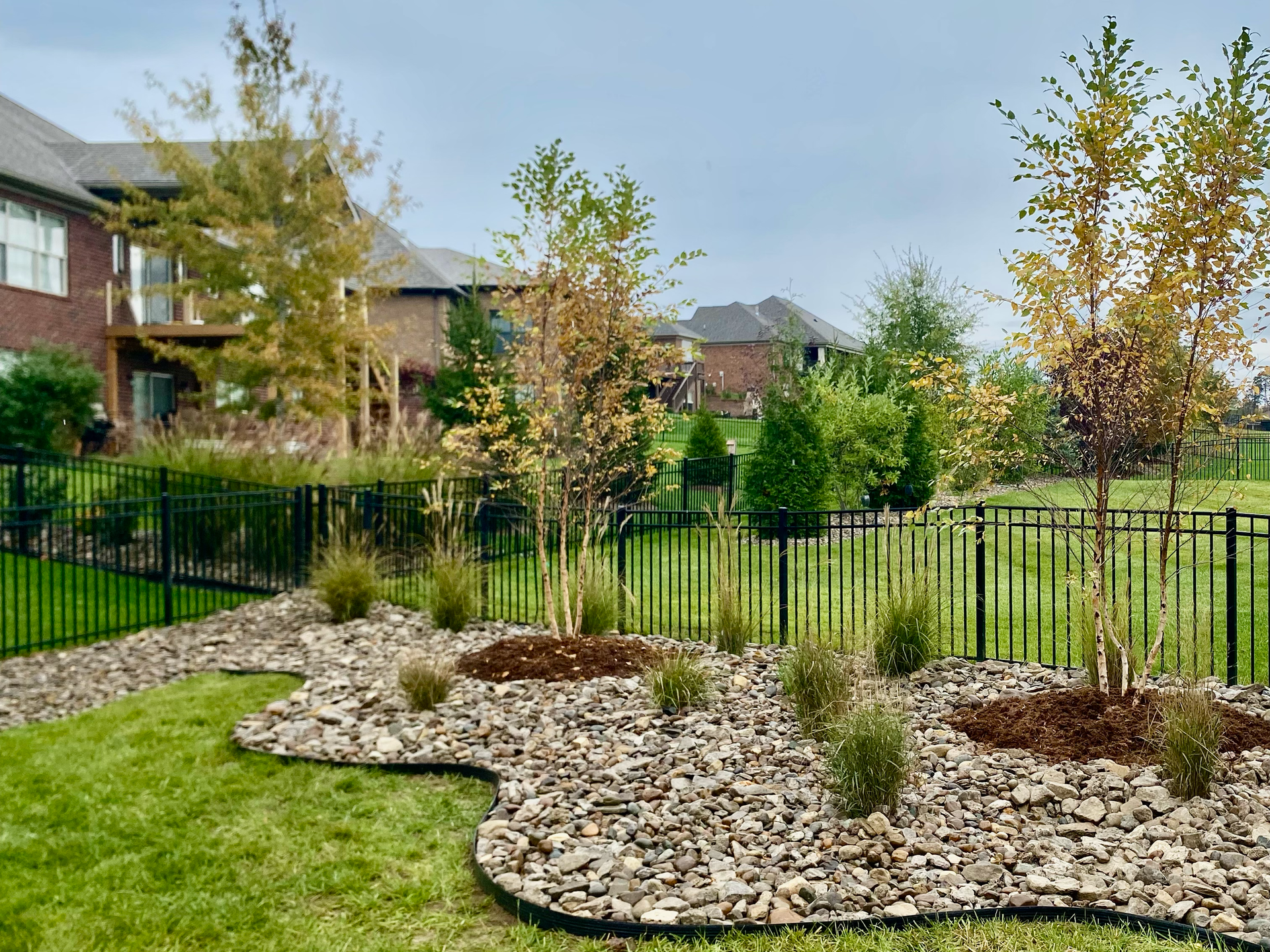 Residential garden with stone mulch beds, shrubs, black fence, and brick houses in the background