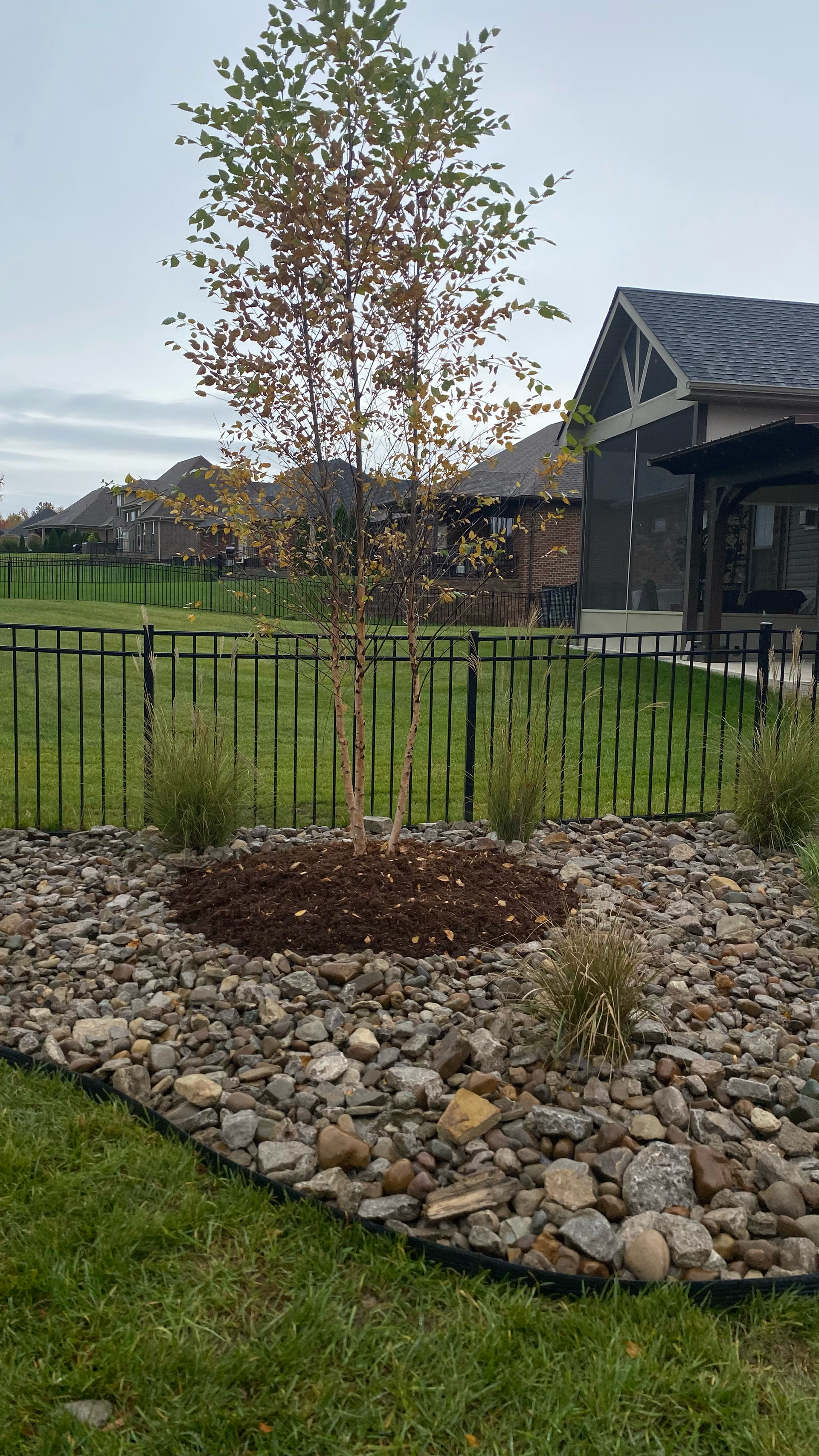 Fertilization services lawn care