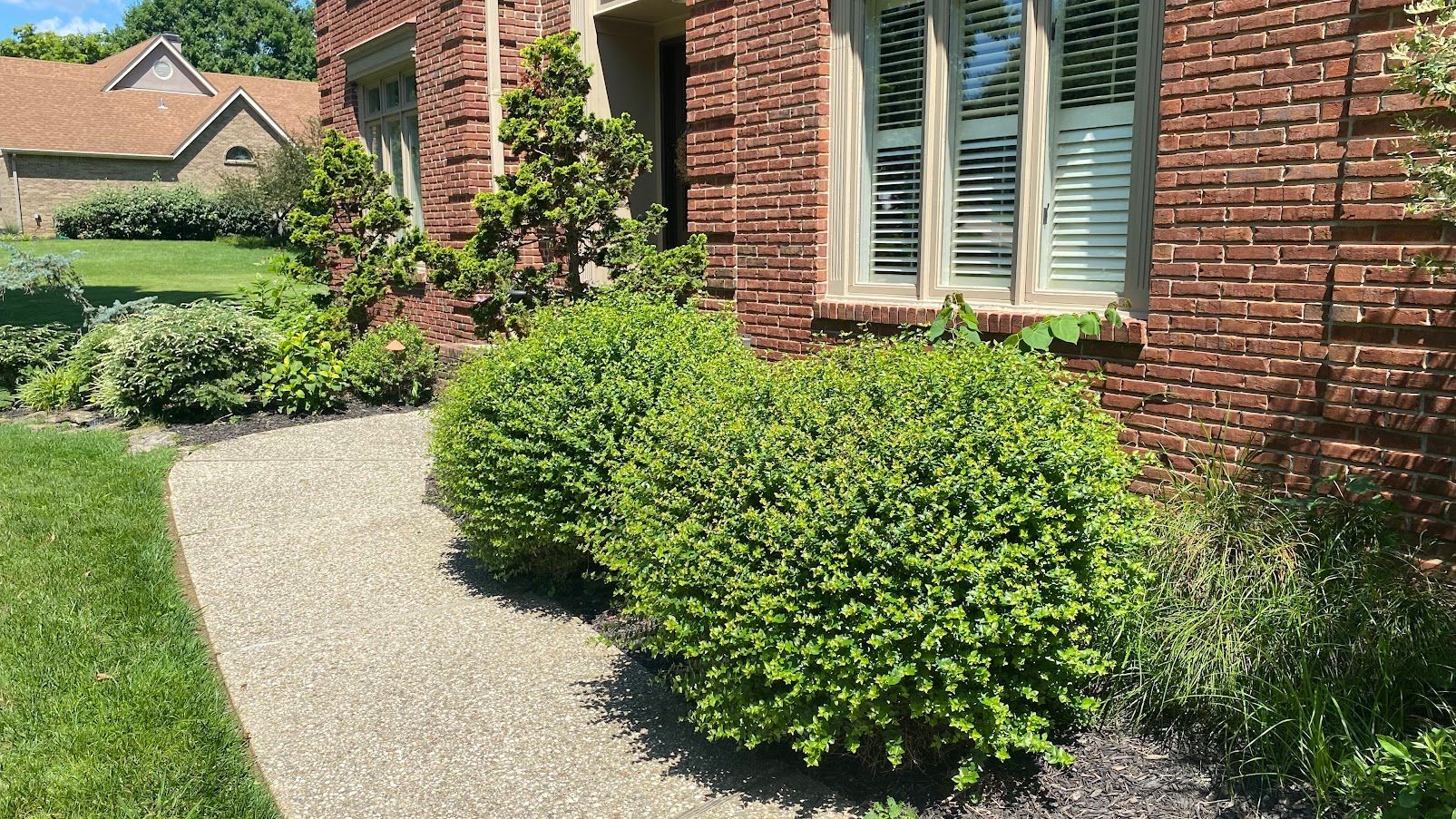 Brick house with white shutters, curved gravel path, and green shrubs in a sunny garden