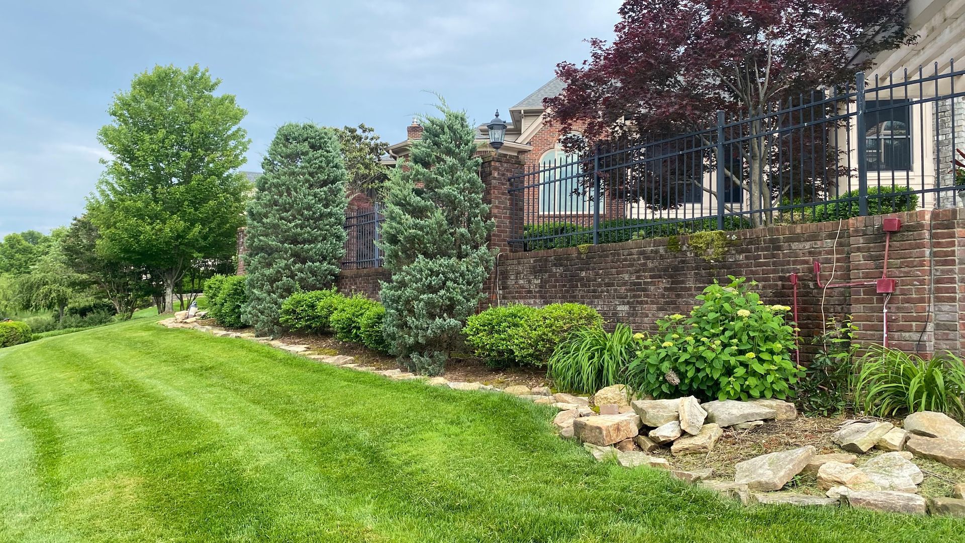 Tree trimming services Louisville