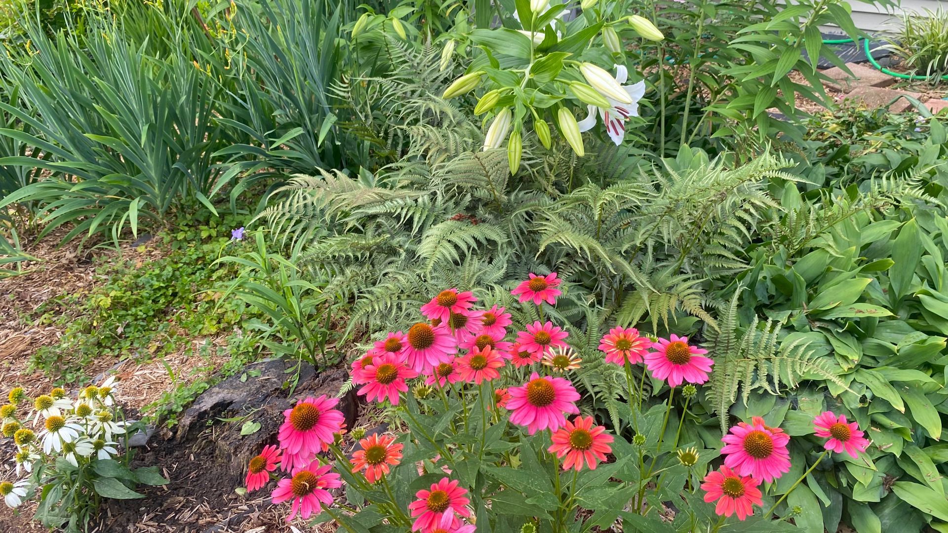 Sustainable landscape design
