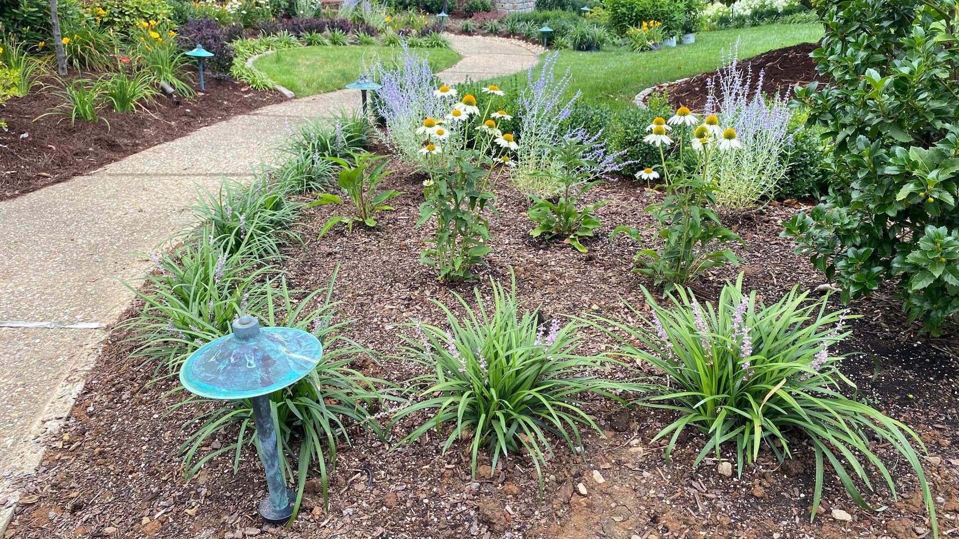 A garden path winds through a bed of flowers, grasses, and mulch, lit by a green lamp.