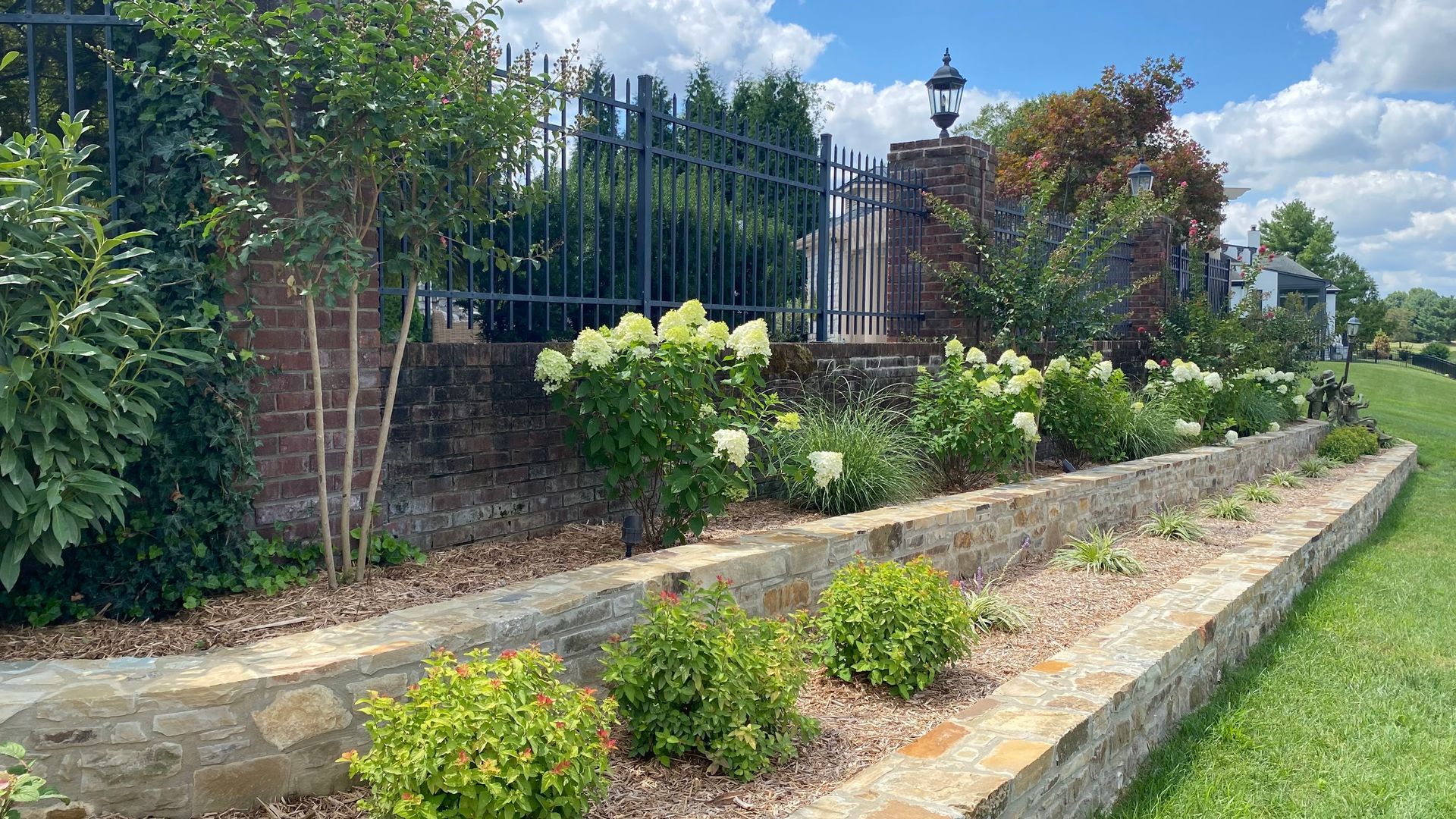 Landscape renovation services