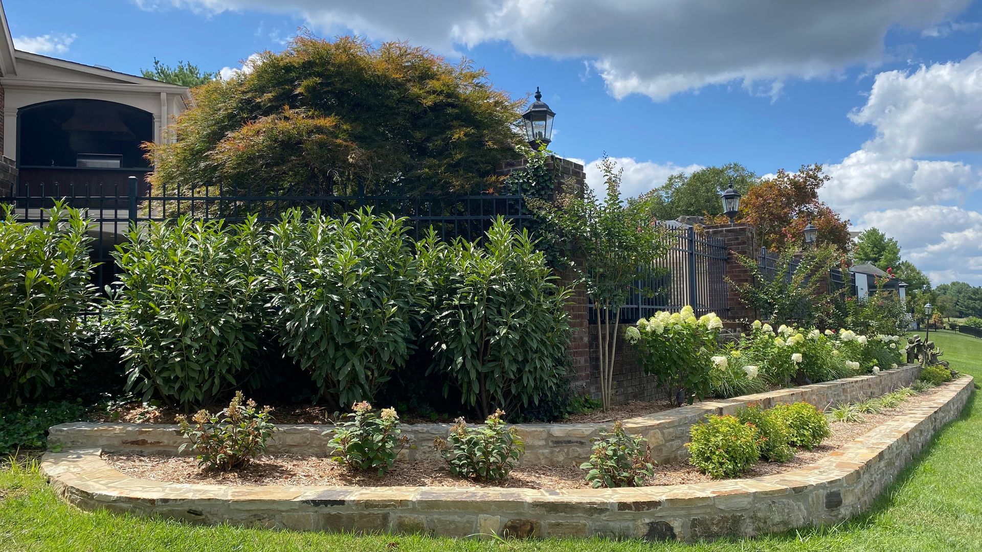 Yard makeover services
