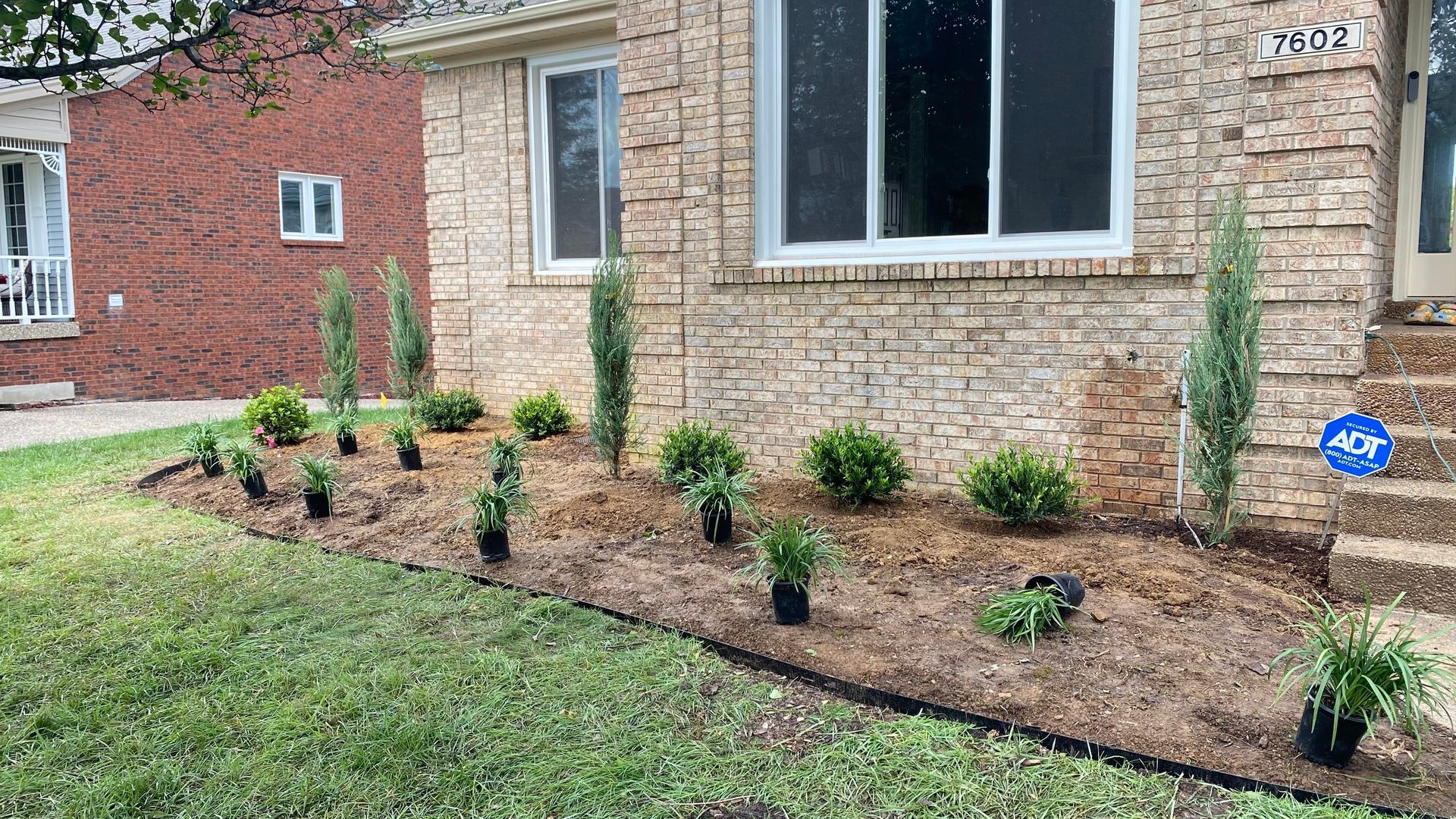 A flower bed in front of a brick house with newly planted shrubs and evergreens, mulched with dark brown.