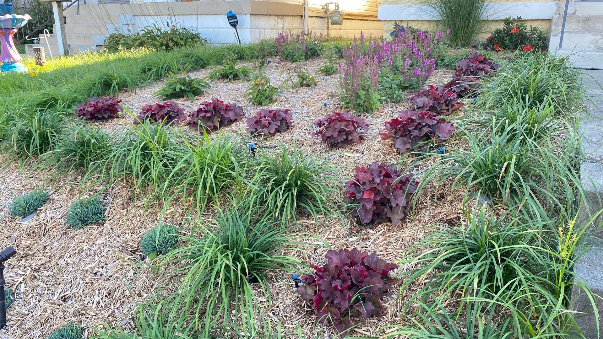 Spring Flower Bed Reset: What to Cut Back, Clean Up, and Keep