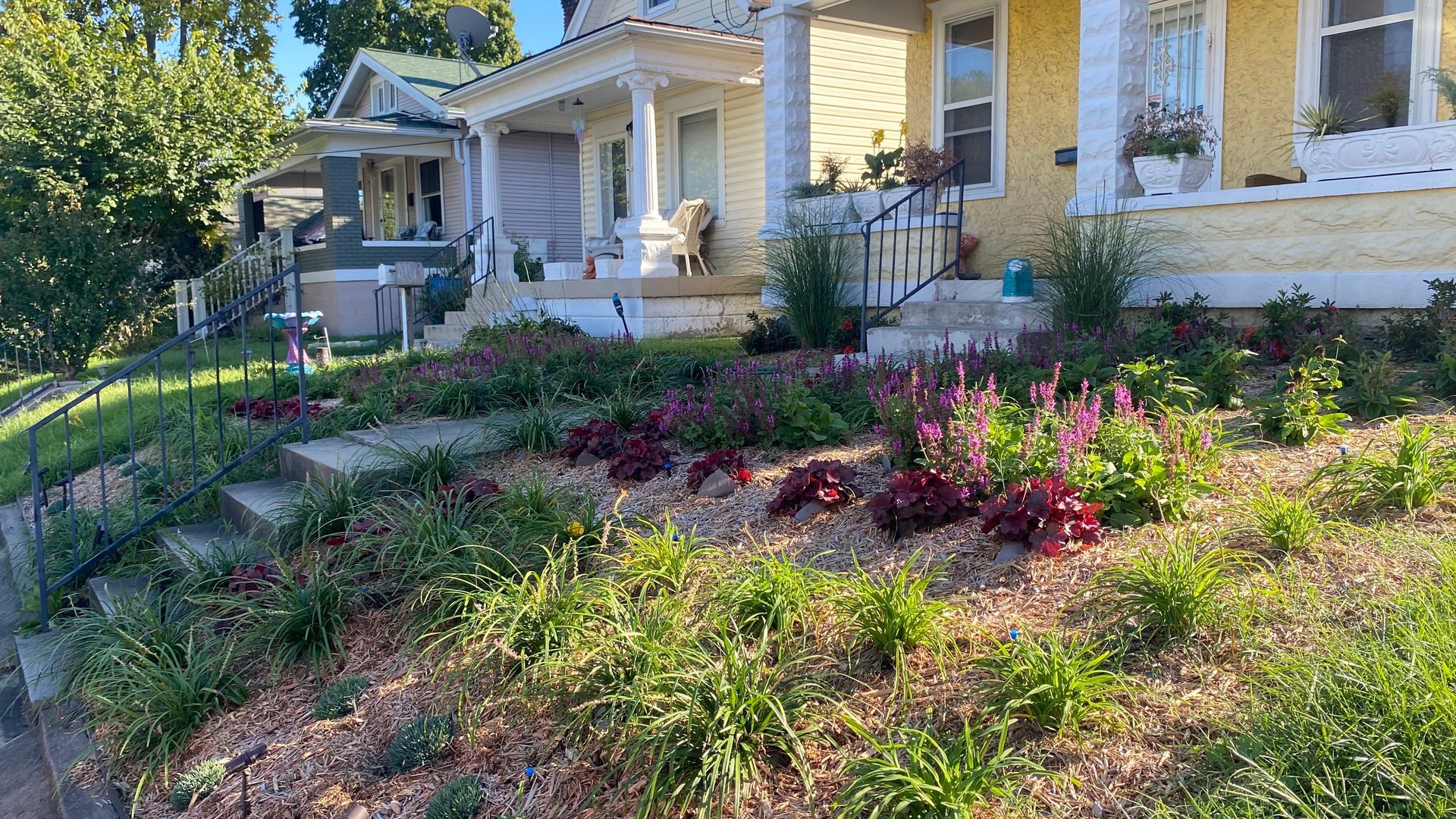 Houses with porch fronts and a terraced garden with pink and green plants.