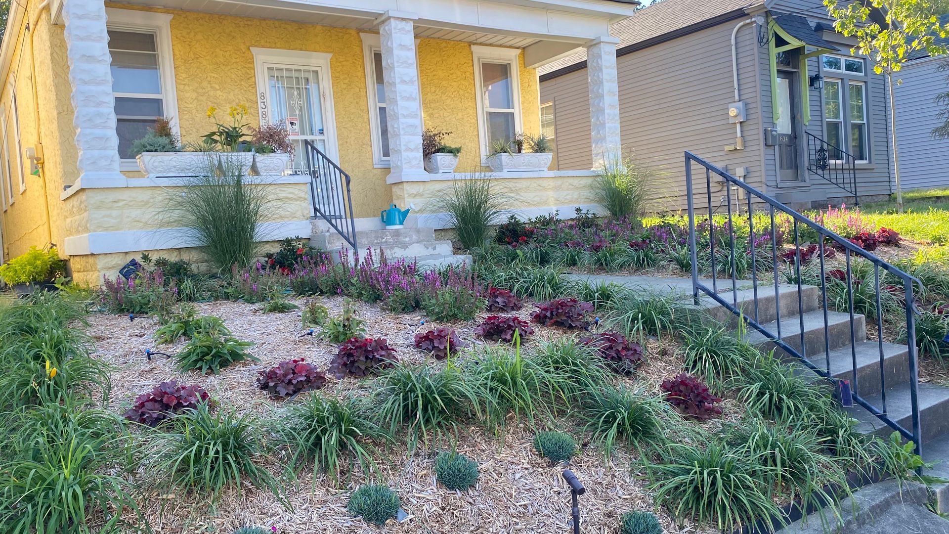 Professional landscapers Louisville
