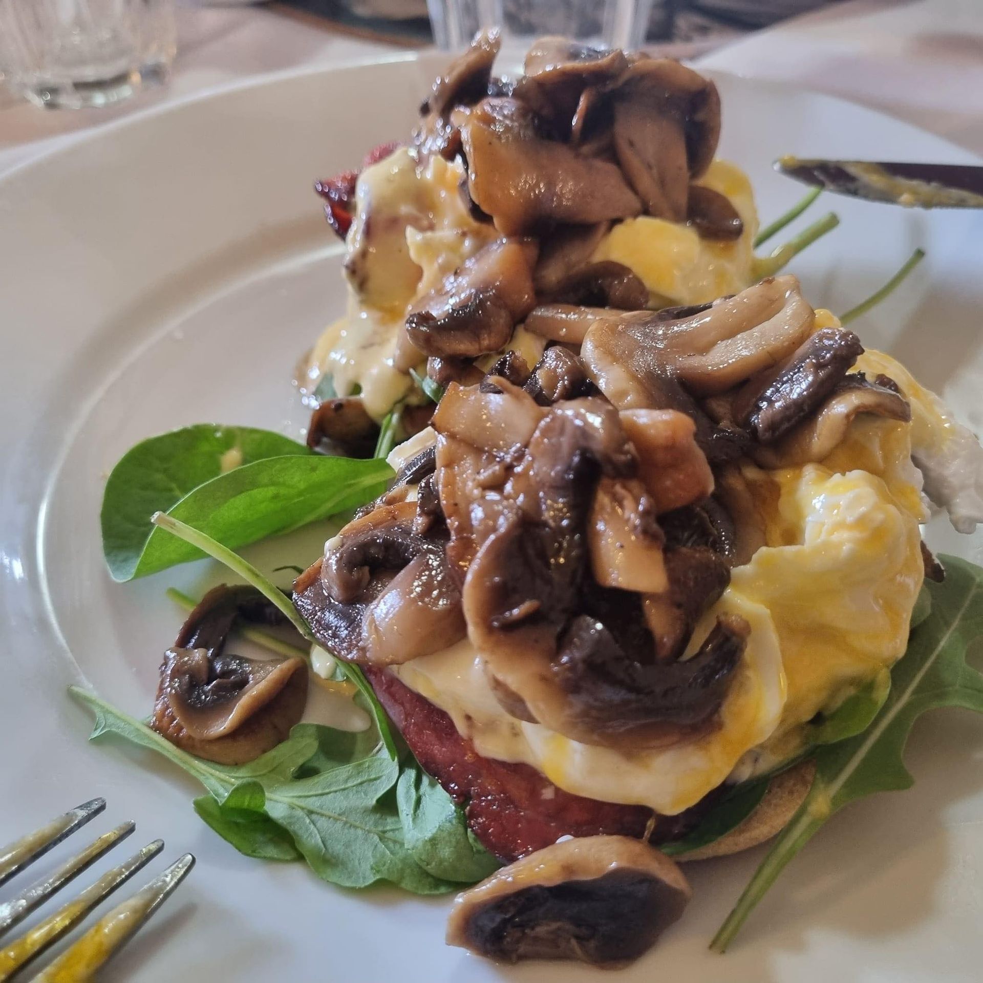 Breakfast plate with scrambled eggs, mushrooms, and greens.