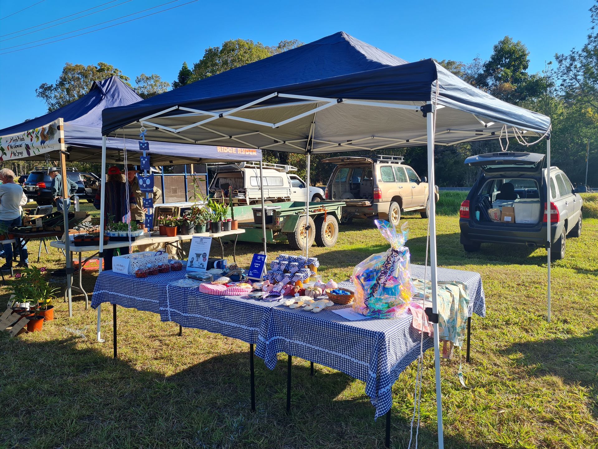 Outdoor market with blue canopy tents and tables displaying items; vehicles parked in background.