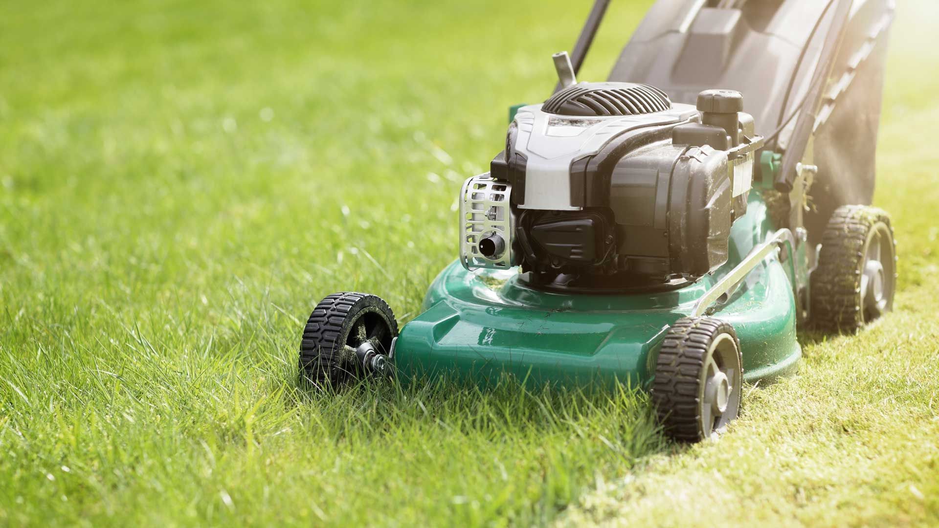 Lawn Maintenance — San Marcos, TX — Diamondback Landscaping & Lawn Care, Inc.