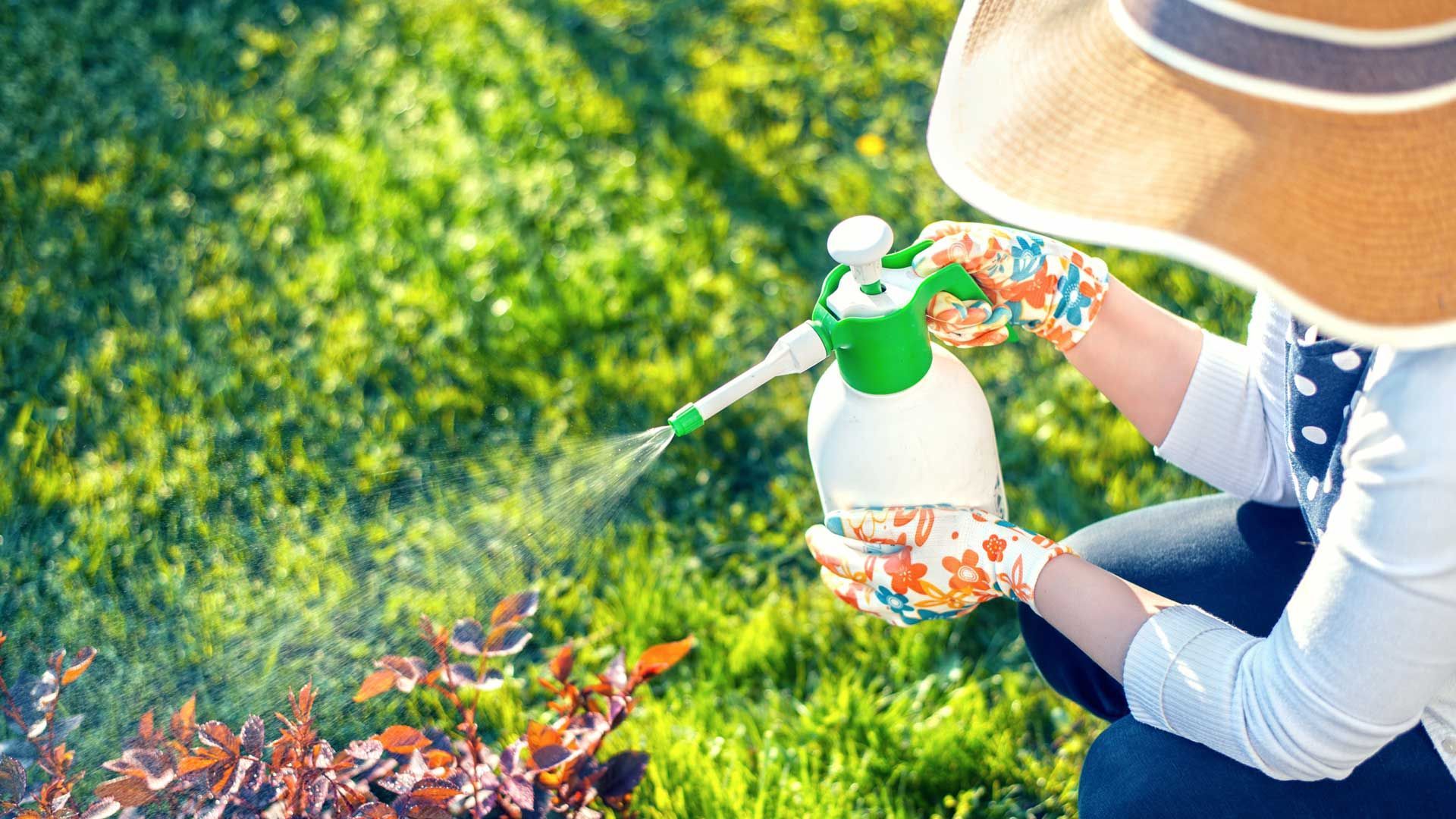 Pest Control — San Marcos, TX — Diamondback Landscaping & Lawn Care, Inc.
