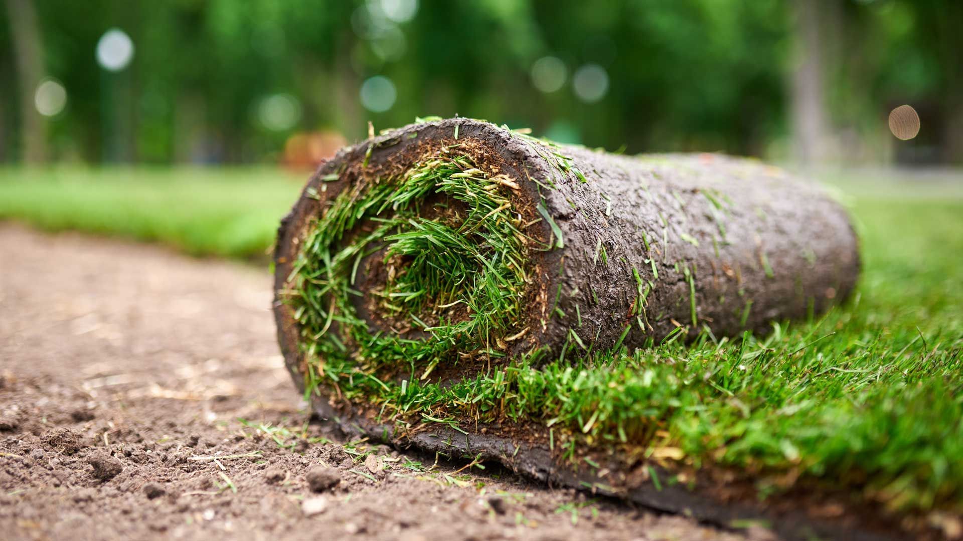 Sod — San Marcos, TX — Diamondback Landscaping & Lawn Care, Inc.
