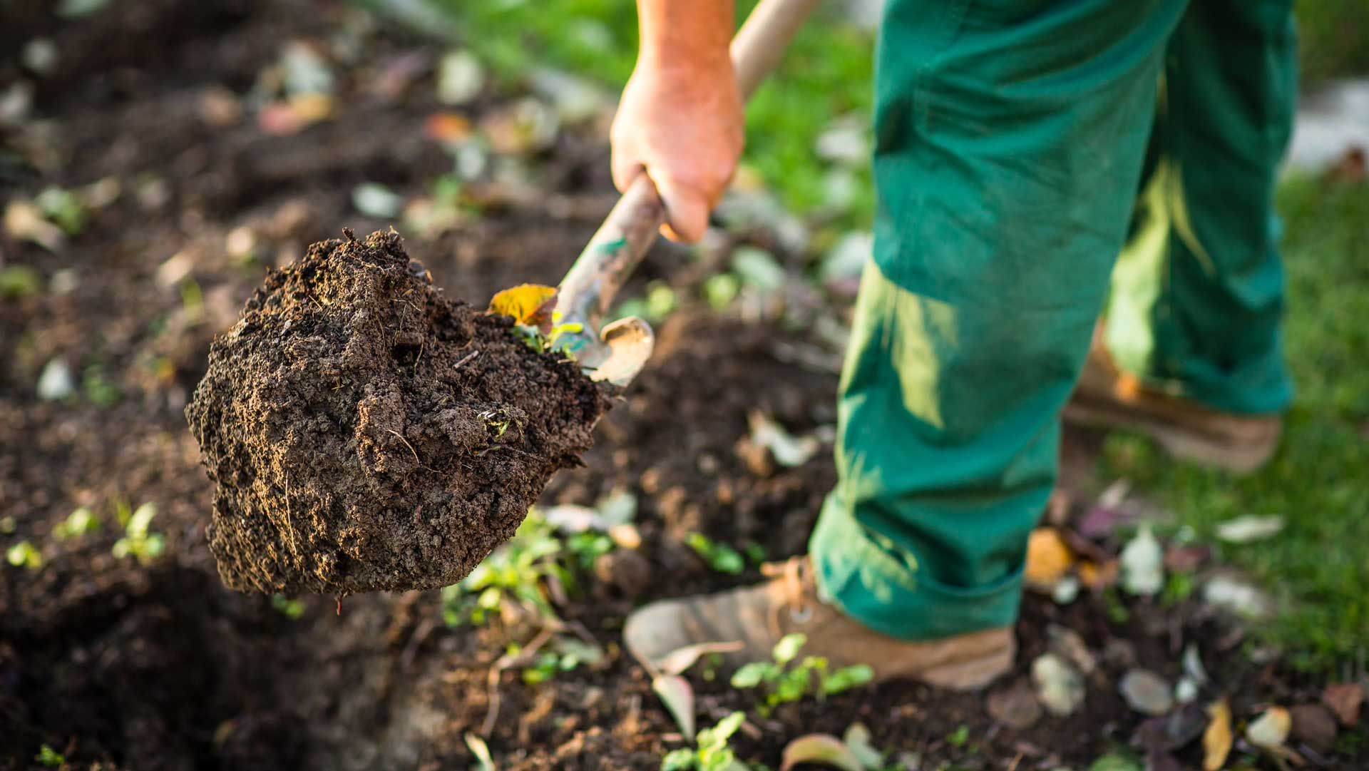 Excavation — San Marcos, TX — Diamondback Landscaping & Lawn Care, Inc.