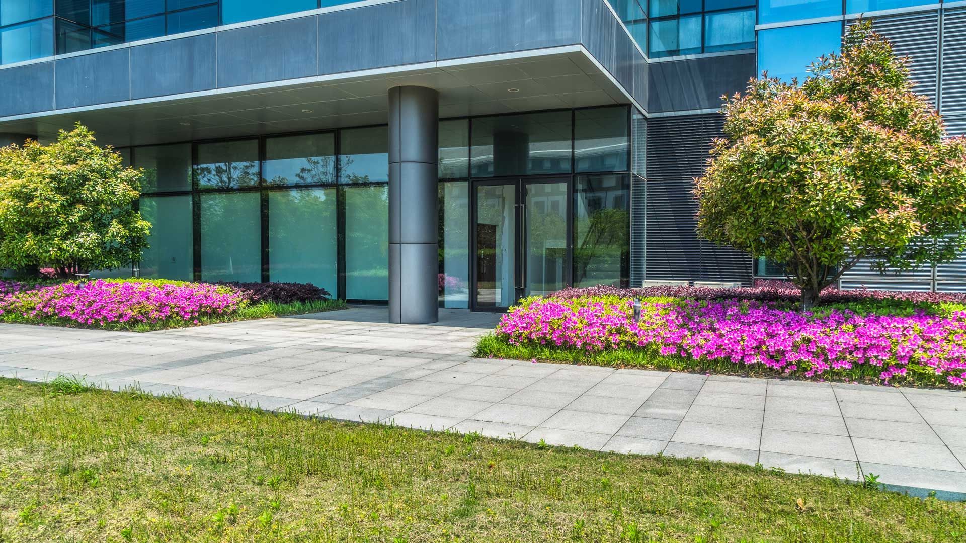 Commercial Care — San Marcos, TX — Diamondback Landscaping & Lawn Care, Inc.