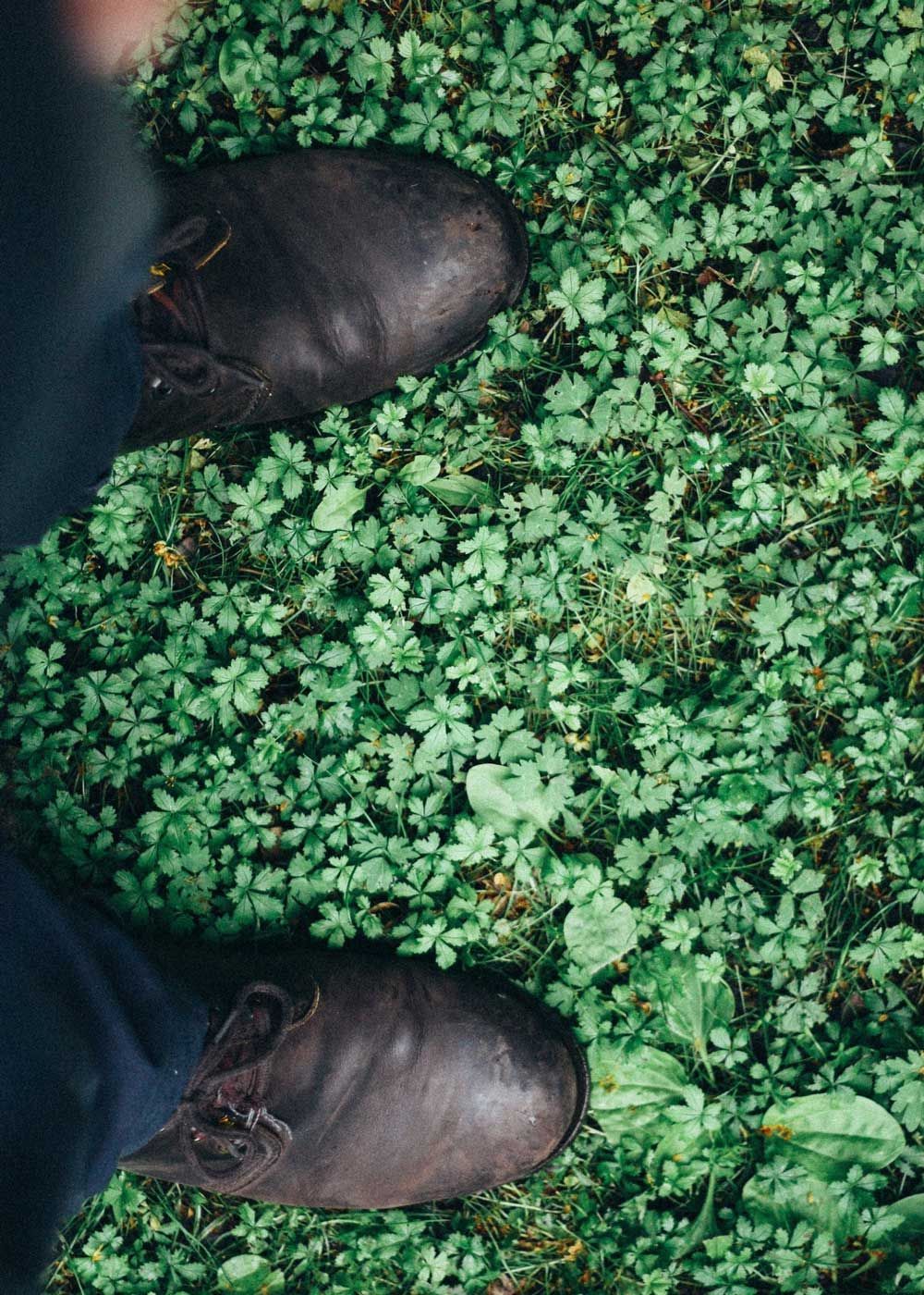 Feet on The Grass — San Marcos, TX — Diamondback Landscaping & Lawn Care, Inc.