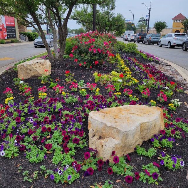 Different Flowers — San Marcos, TX — Diamondback Landscaping & Lawn Care, Inc.