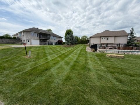 Suburban backyard with striped green lawn, two houses, and a cloudy sky