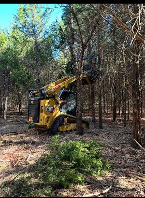 Yellow forestry machine clearing brush in a wooded area