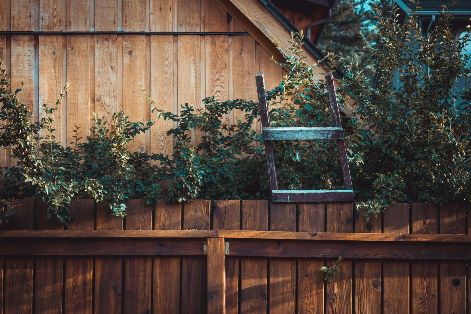Wooden garden fence with leafy shrubs and a small metal trellis against a weathered wood wall.