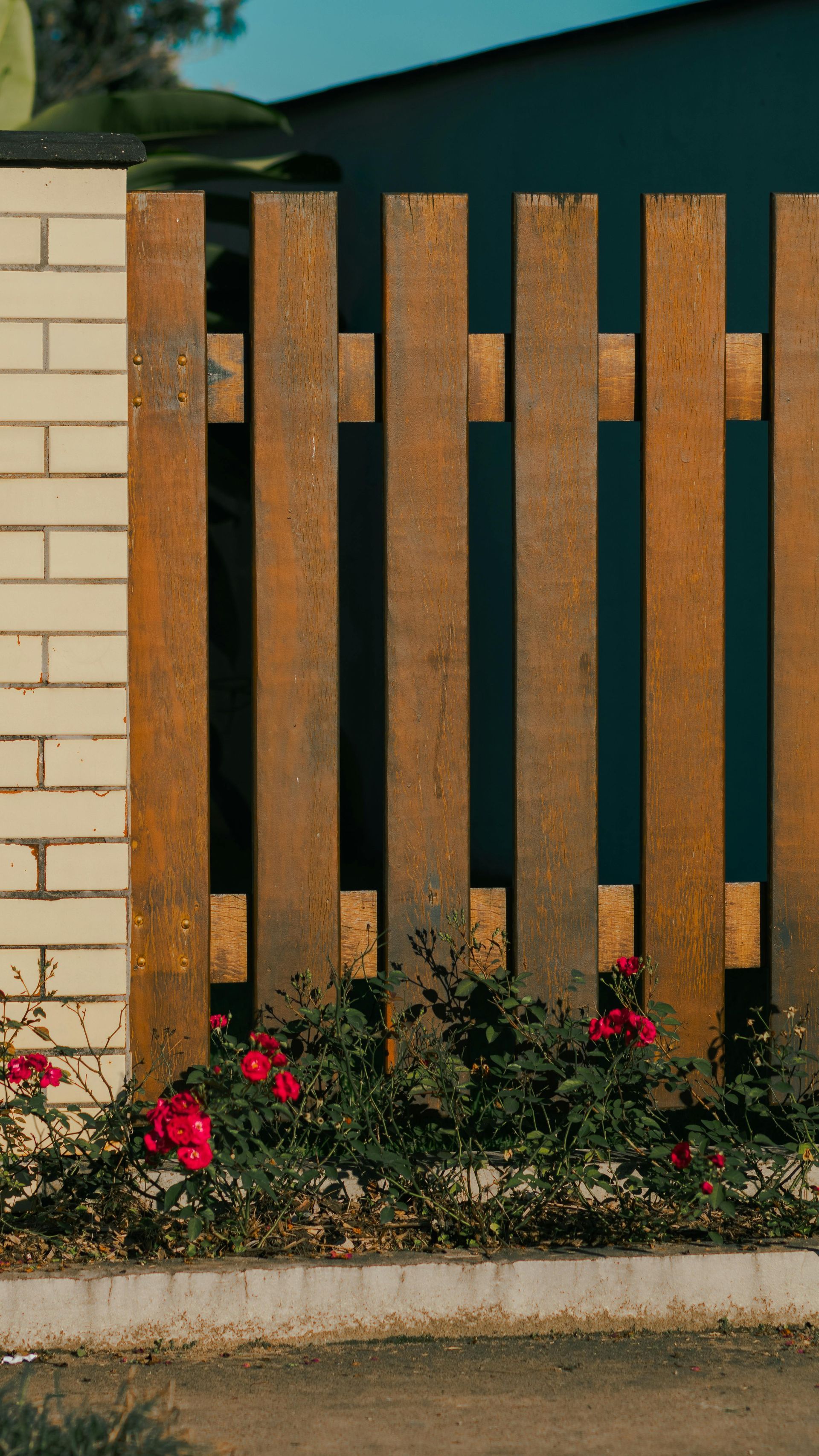 Wooden slat gate beside a brick wall, with red flowers along the base.