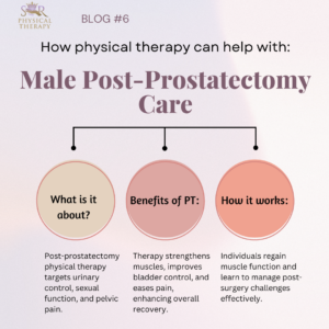 Infographic: Physical therapy for male post-prostatectomy care; targets urinary control, sexual function, & pelvic pain.