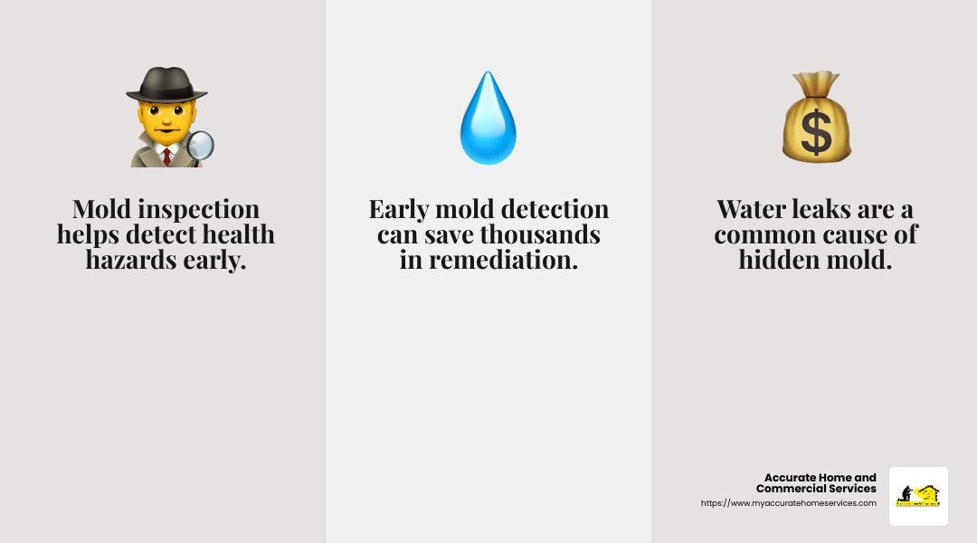 Early mold inspections benefits
