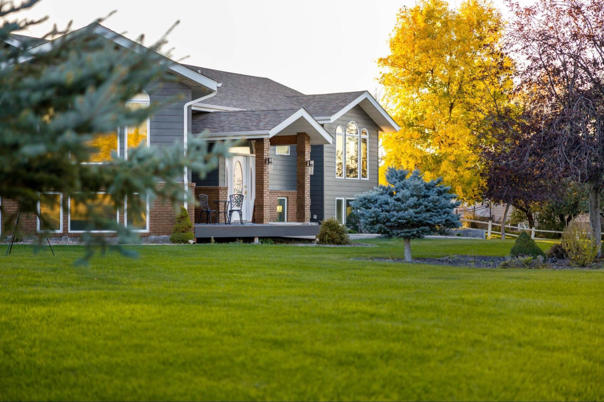 house surrounded by grass and plants
