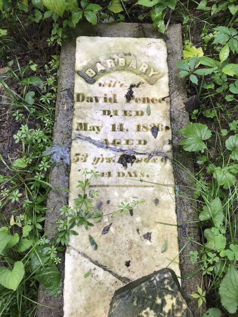 Weathered tombstone in overgrown vegetation; inscription reads 