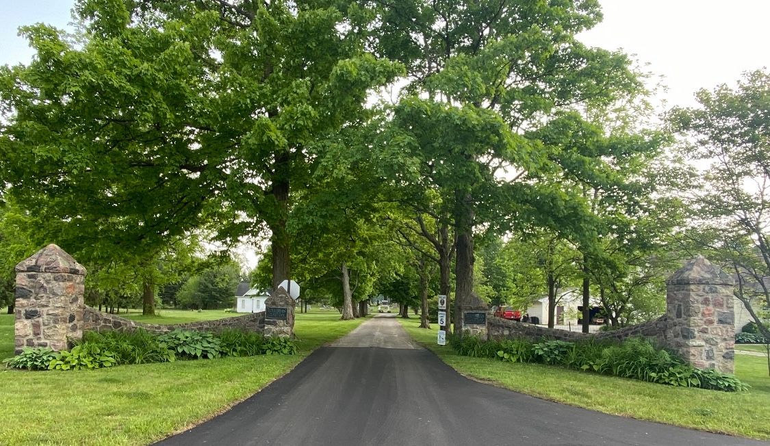 A paved road leads through a stone gate, lined with lush green trees.