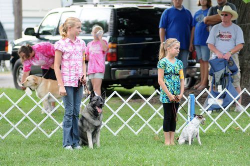 Two girls with dogs at a dog show, other people watching.