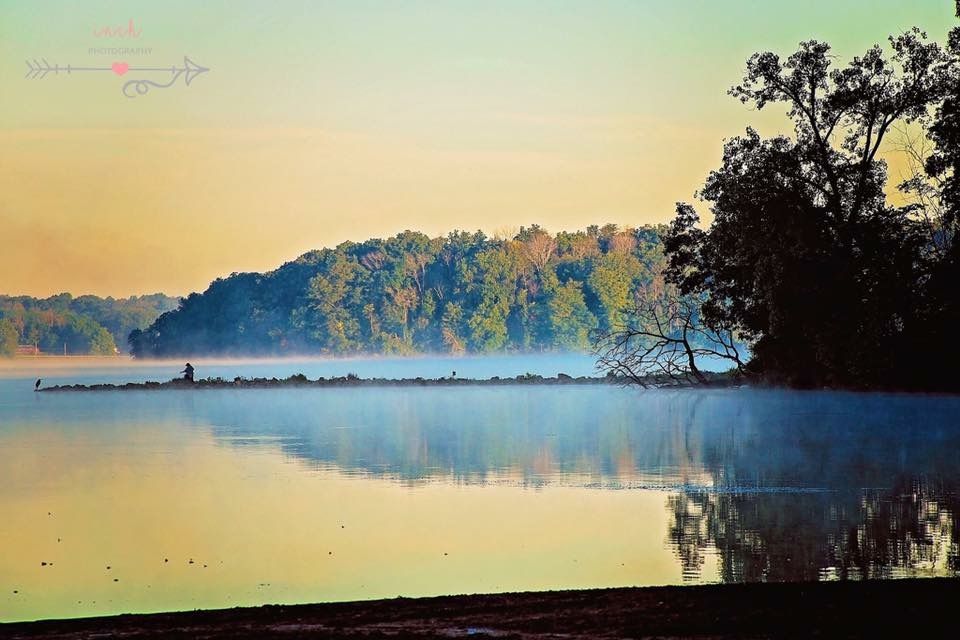 Calm lake with morning mist, reflected trees, and distant forested hills.