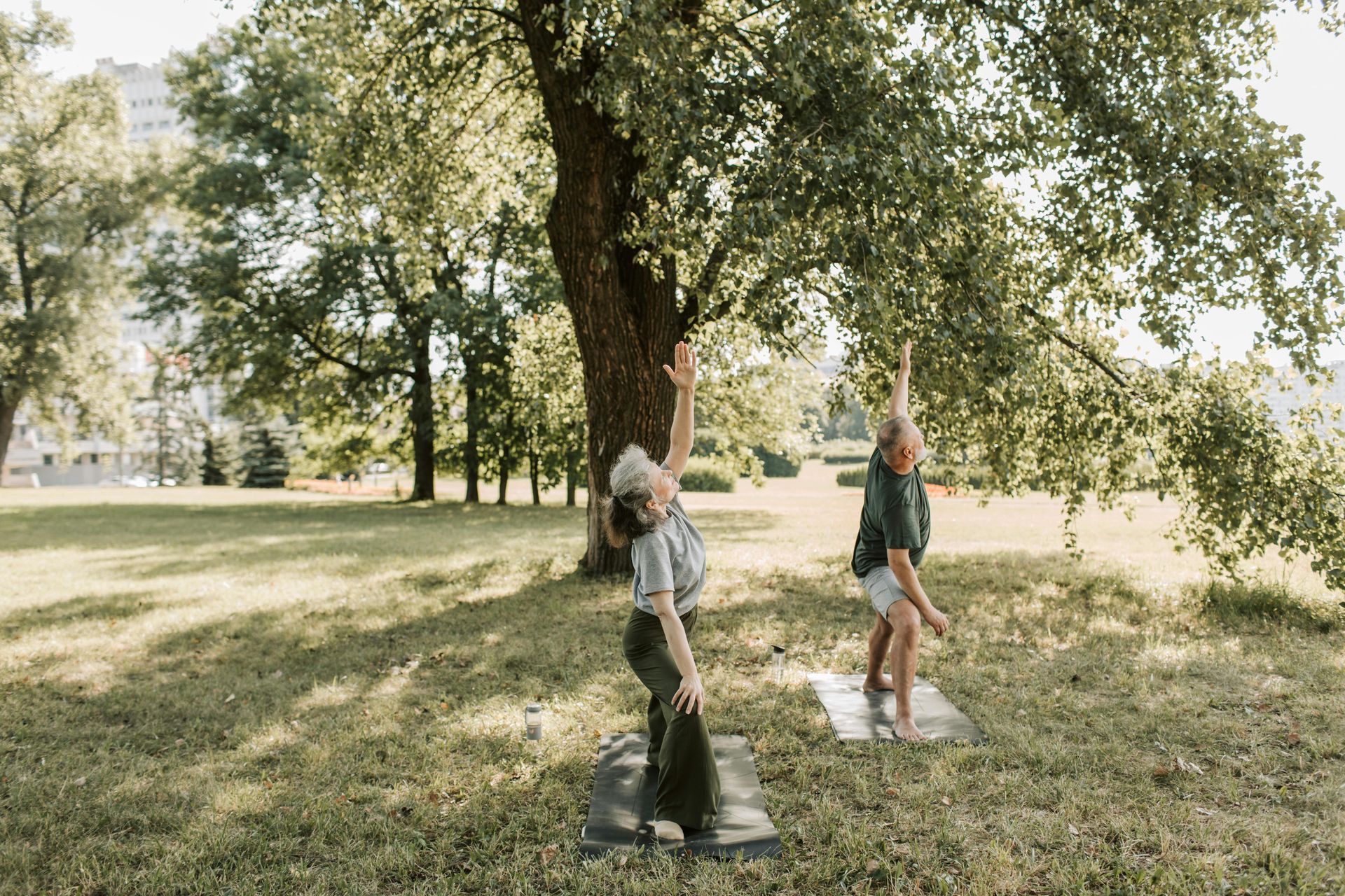 Two people practice yoga outdoors under a large tree, arms raised.