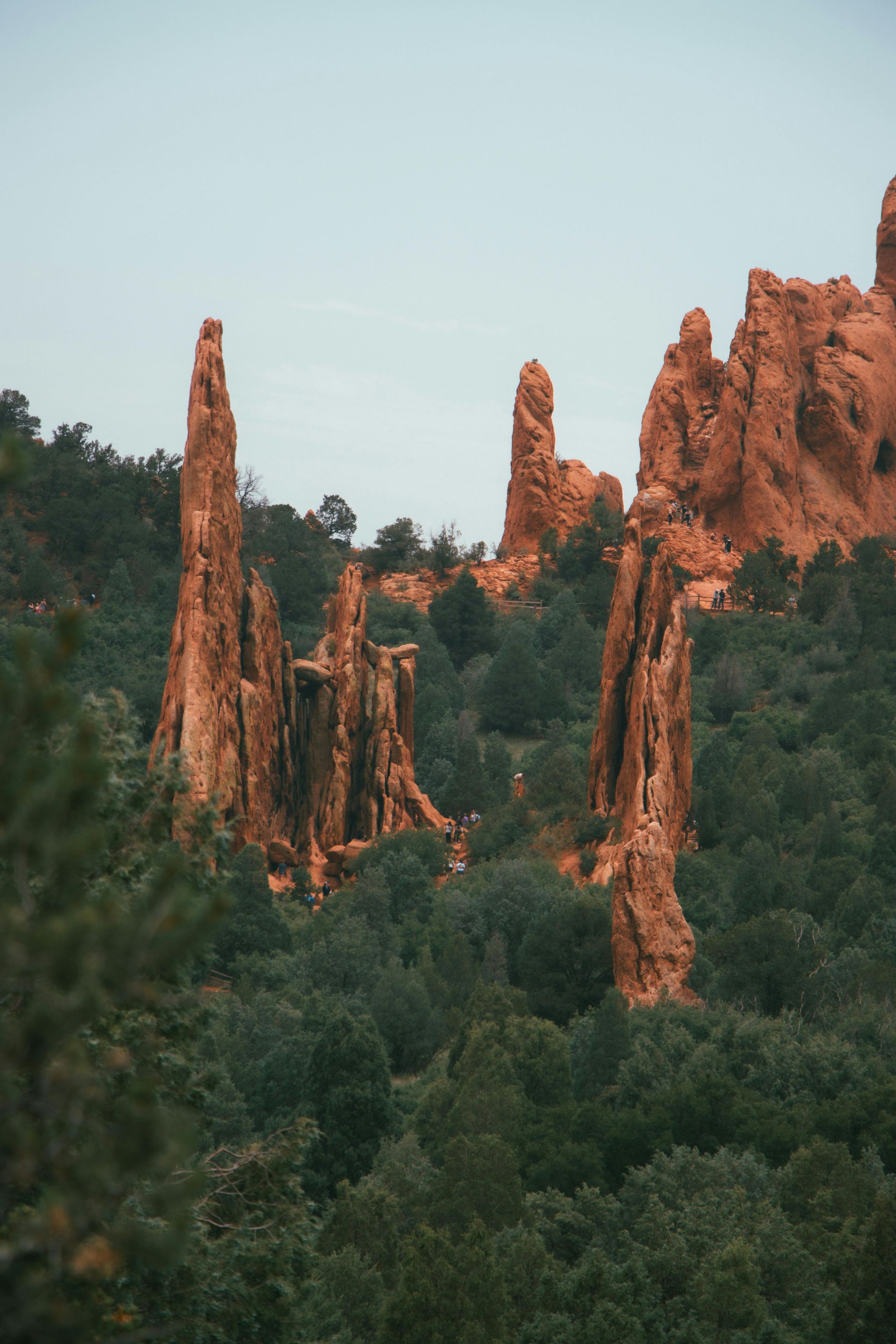 Red rock spires rising above dense green forest under a pale blue sky