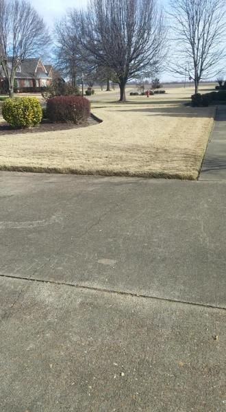 Residential driveway beside a lawn with bare trees and a road in the distance, on a sunny day