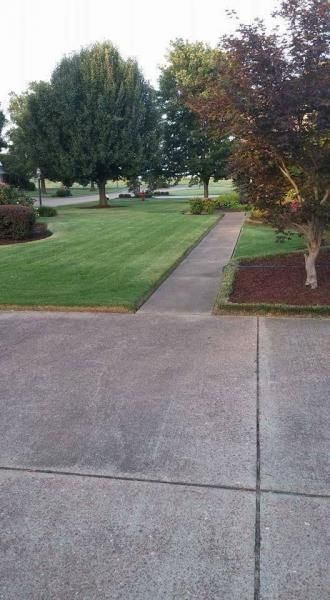 Concrete sidewalk beside a manicured lawn with trees and a landscaped path in a quiet neighborhood.