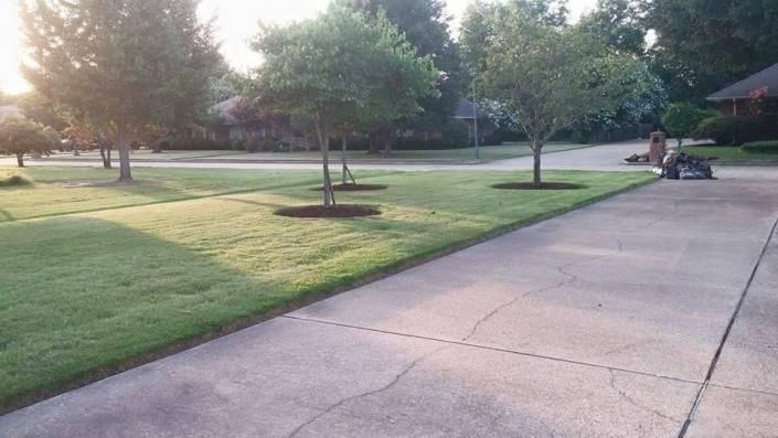 Sunlit suburban sidewalk beside a grassy lawn and young trees, with a person on a scooter in the distance