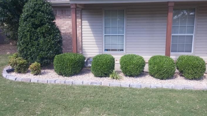 Front yard landscaping with trimmed shrubs and a curved stone border beneath a house window.